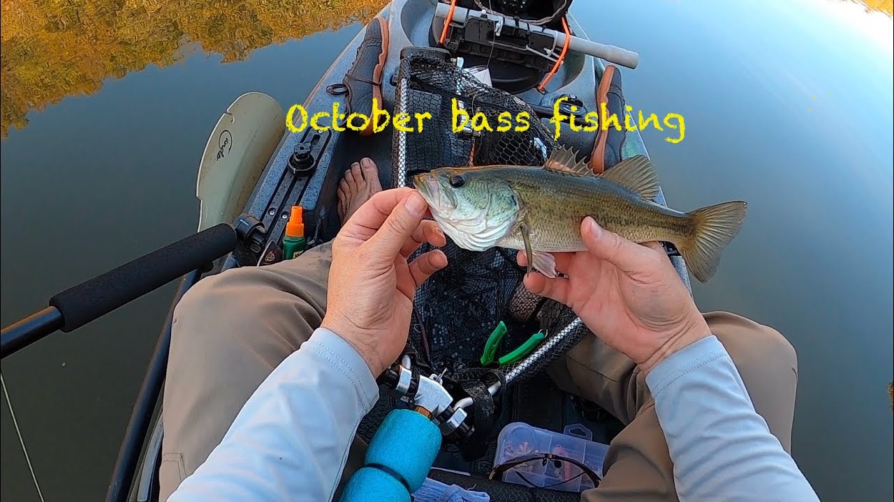 October kayak bass fishing – still barefoot! #kayakbassfishing #kayakfishing #bassfishing #kayaking