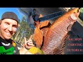 Awesome SALMON  Wood Carving- Tutorial -Demo- Gret Tips inside