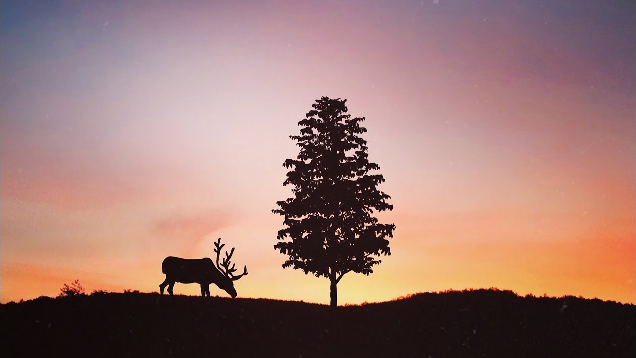 Featured Photographer - Giza