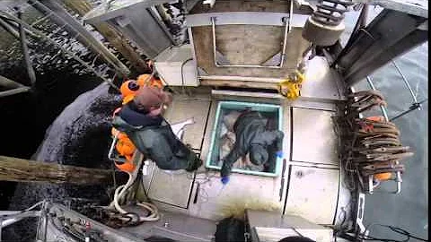 Halibut Longlining 2014