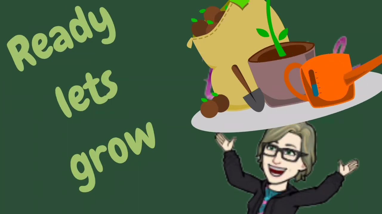 Kay's strawberry tea(CHOPPED)