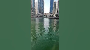 Thumbnail of 0067 - A Little Bit of Gold! #shorts #dubaimarina