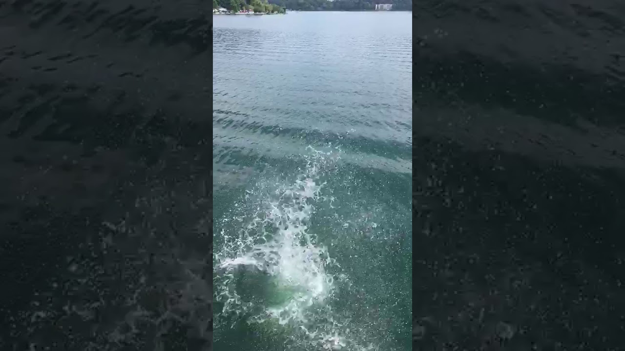 My nigga Johnny wilding in the lake