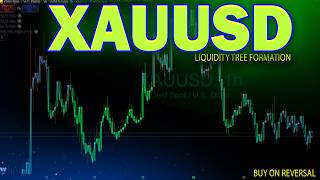 XAUUSD Analysis Today : How To Take Reversal Entry in Liquidity Tree Formation in GOLD?