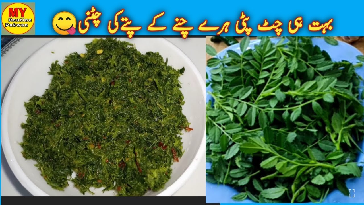 Hare Chane Ke Patto ki Chutney Green Chutney Recipe My Routine