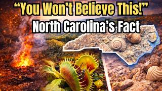 50 Mind-Blowing North Carolina Facts That Sound Fake But Are Real
