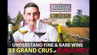 What makes the 33 Grand Crus of Burgundy Unique? | Best Bourgogne Wines Explained
