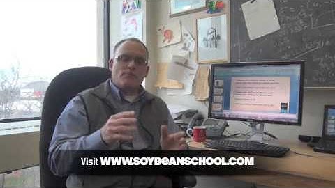 Soybean School - How Important Are Drought Resistant Traits In Soybeans?