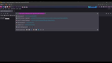 picoCTF - where are the robots (Web Exploitation)