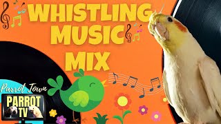 Whistle Music Mix for Birds | Fun Music for Birds to Whistle to | Parrot TV for Your Bird Room