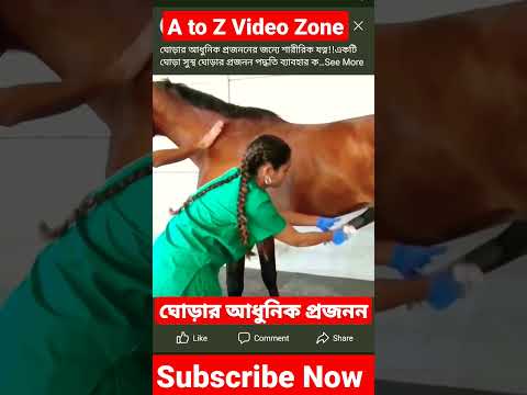 ভিডিও: তর্পণ ঘোড়া আধুনিক ঘোড়ার পূর্বপুরুষ। বর্ণনা, প্রজাতি, বাসস্থান এবং জনসংখ্যার বিলুপ্তির কারণ