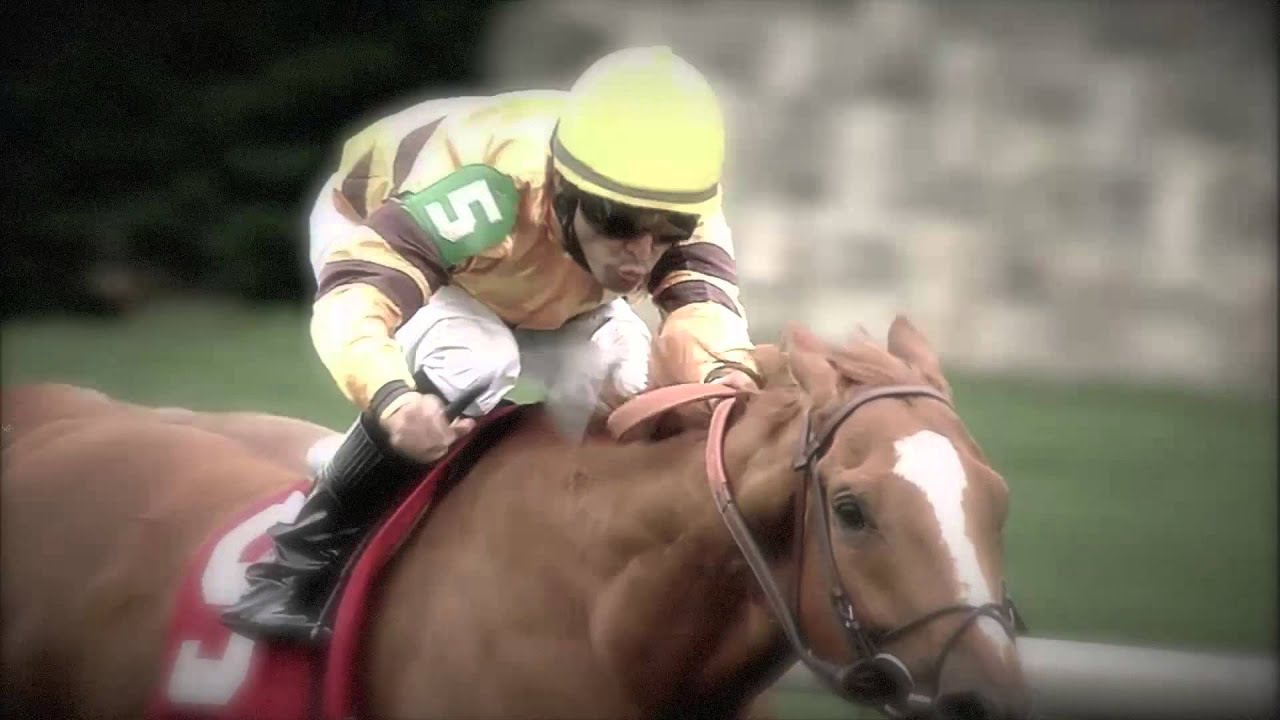 kentucky derby winner 2019 Wise Dan: The Most Interesting Horse in the World, No. 1