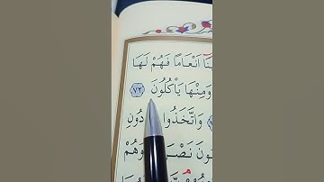 سورة يس الأية 71 إلى 77 بصوت سعد الغامدي