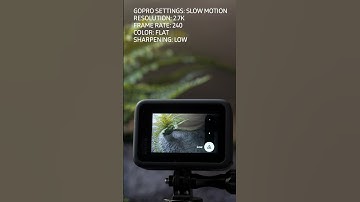 How to Setup GoPro for Slow Motion | RehaAlev