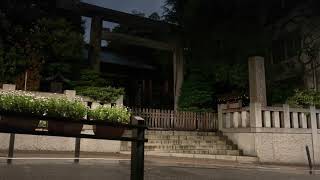 Rain &amp; Shrine: TOKYO DAIJINGU - Rain Sounds for Sleep, Study, Relaxation | White Noise, ASMR Sleep