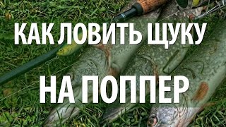 ЛОВЛЯ ЩУКИ НА ПОППЕР - УЛОВИСТАЯ ПРИМАНКА ЛОВЛЯ ЩУКИ НА ПОППЕР - УЛОВИСТАЯ ПРИМАНКА