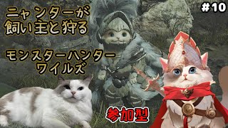 【MHWilds】モンスターハンターワイルズ / 飼い主と行くニャンター【新猫Vtuber】※ネタバレ注意 ＃10