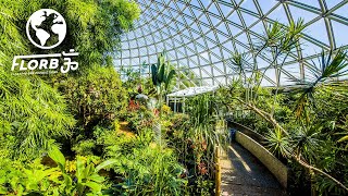 They Converted Old Quarry to Indoor Rainforest
