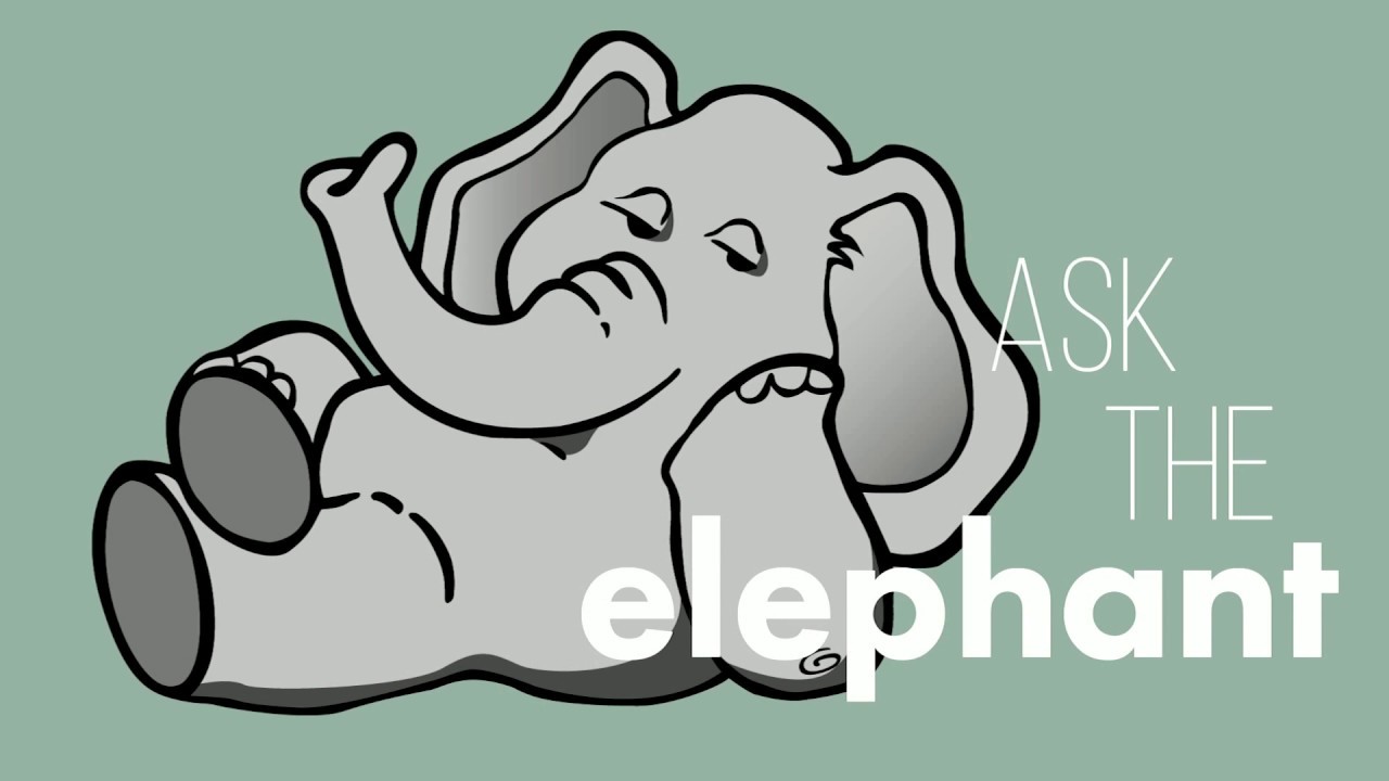 Ask the Elephant (Q&A)  w/Edward!