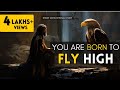You are born to fly high  short motivational story