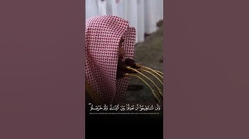 سورة النساء تراويح ٤٥هـ د.#عبدالله_القرافي #اكسبلور_explore #fyp #تلاوة_خاشعة ￼#حالات_واتس