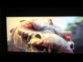 Ice Age: Dawn of the Dinosaurs - Rudy Battle Scene
