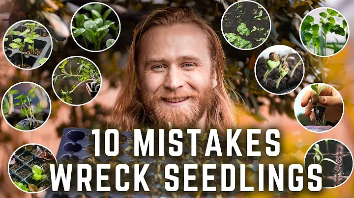 10 Beginner SEED STARTING Mistakes You MUST AVOID