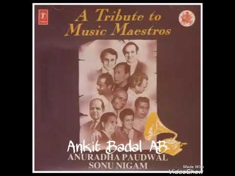 Rut Hai Milan Ki Sathi   Sonu Nigam Anuradha Paudwal   Tribute To Music Maestros Vol 2