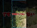大きな古時計を柱にして隠れてみた! #shorts #かくれんぼ #prophunt #cod #bo6