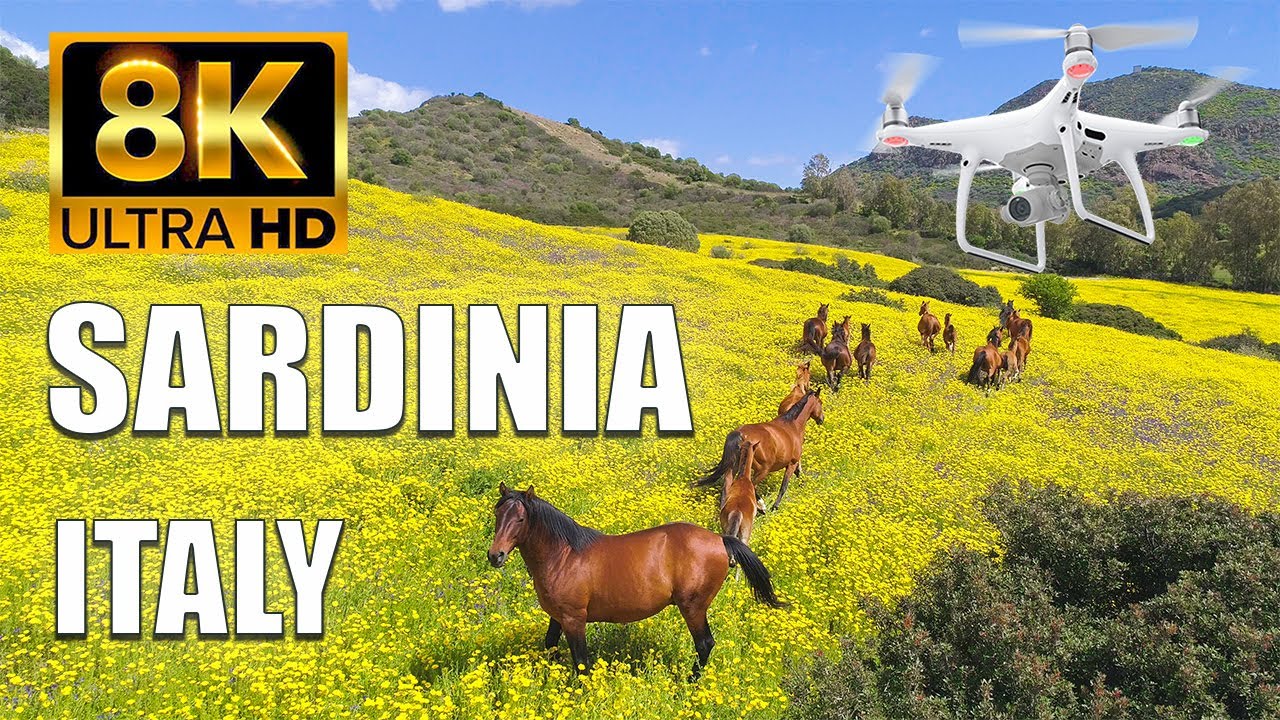 8K Video Ultra HD Nature Horses FUHD  Sardinia Italy  12K Drone Footage