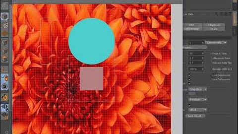 Early Direct 2D Experiment