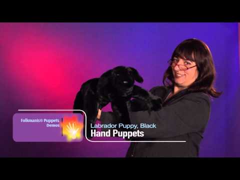 Folkmanis® Black Labrador Puppy Puppet Demo - Retired