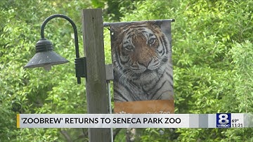 Zoobrew 2025 at Seneca Park Zoo aids elephant conservation