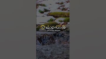 وَأَن لَّيۡسَ لِلۡإِنسَٰنِ إِلَّا مَا سَعَىٰ || سورة النجم || عبد الباسط عبد الصمد