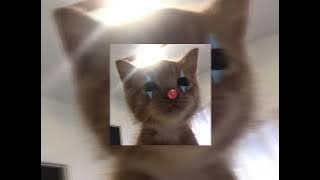 Baby you are really hurting me (sped up)