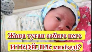 ​Жаңа туған сәбиге неге ИТКӨЙЛЕК кигізеді?