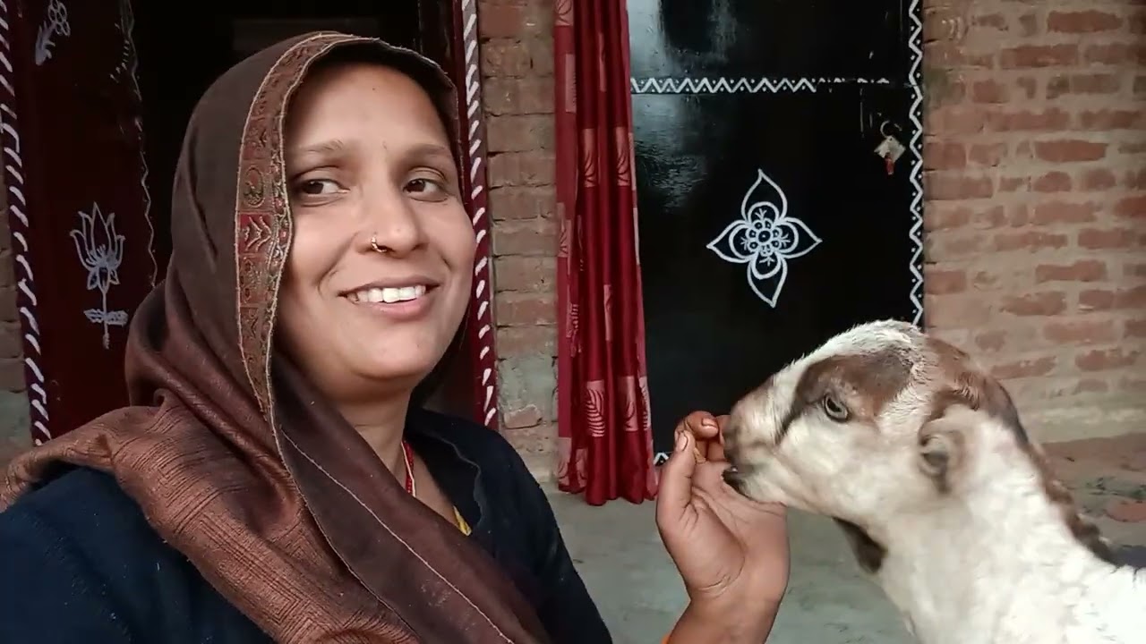 Aakhir kyu karte hai etna pareshan 🫣🫣🤫 kallu Lallu