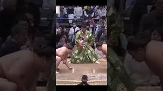 Ryuden VS Hitoshi Haru Basho 2026 Sumo #sport #japan #wwe #sumo #сумо #япония #mma #ufc #борьба