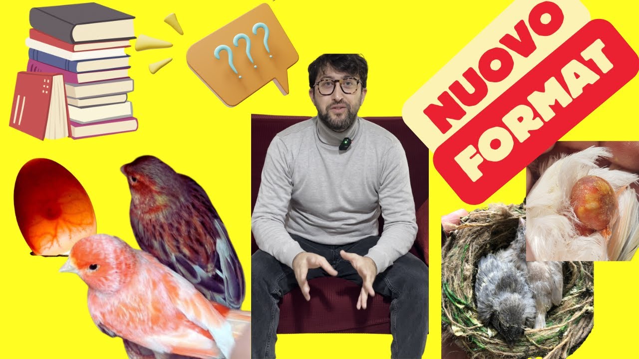 I Canarini per NEOFITI - PARTE I