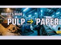 Pulp for Paper Production 🔥📄: Step-by-Step Manufacturing Process