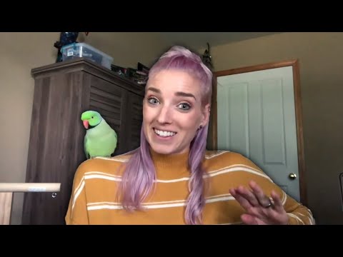Keeping My Indian Ringneck CAGELESS | Do Parrots NEED a Cage?
