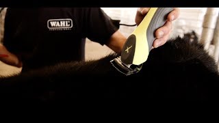 WAHL X-BLOCK Cattle Fitting Series Clip by Wahl Animal USA 1,568 views 5 years ago 41 seconds