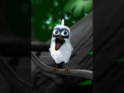 صباح الخير عصفور مضحك