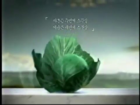 2005 백설 TVCF 2 - Han Ji Min 한지민