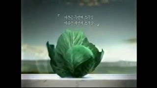 2005 백설 TVCF 2 - Han Ji Min 한지민