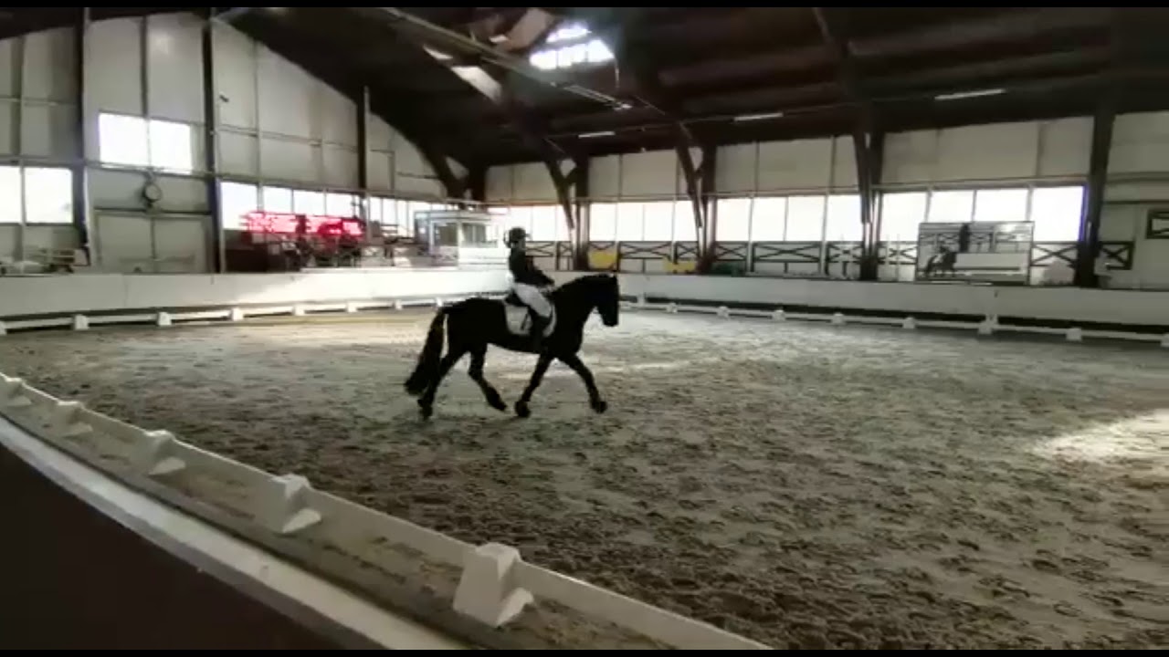 Вероника и Хаммер на соревнованиях по выездке. Схема "шаг-рысь", зачёт "дети". 1 место 68%