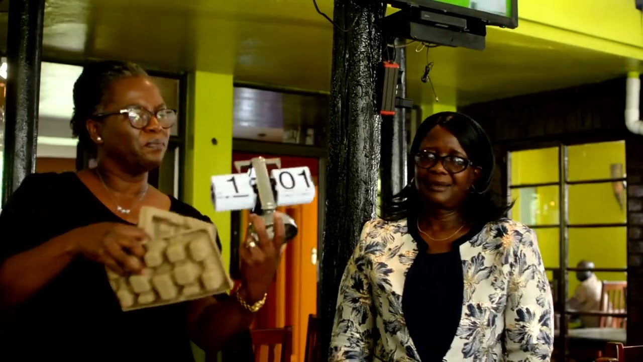 MEFMI Farewell Luncheon 