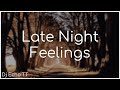 Late Night Feelings - Dj Echo TT