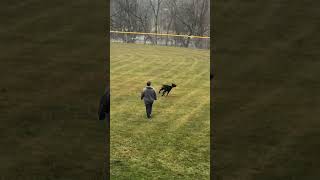 Park Time