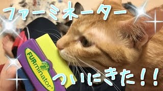 ファーミネーター使ってみた 【みめむ】